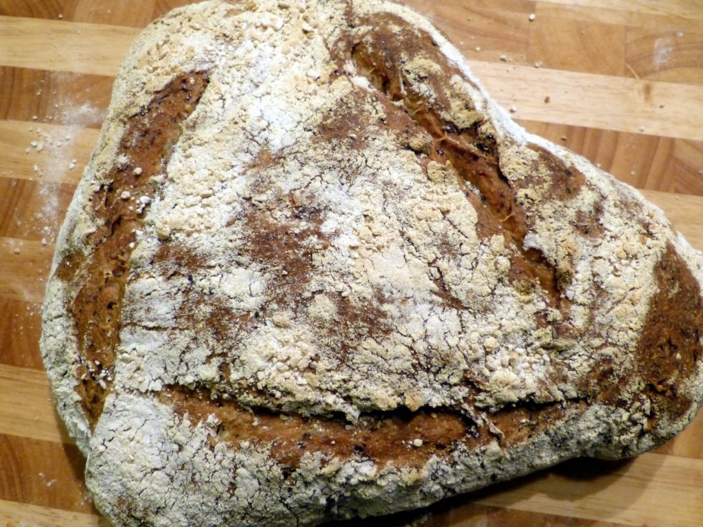 leinsamen1