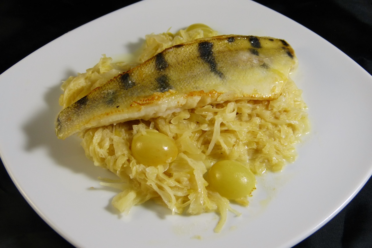 zander auf rahmkraut