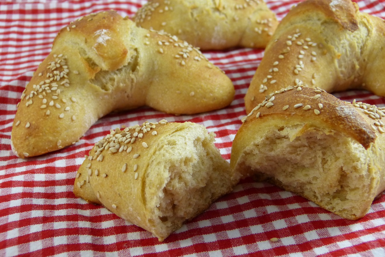 sesamhörnchen