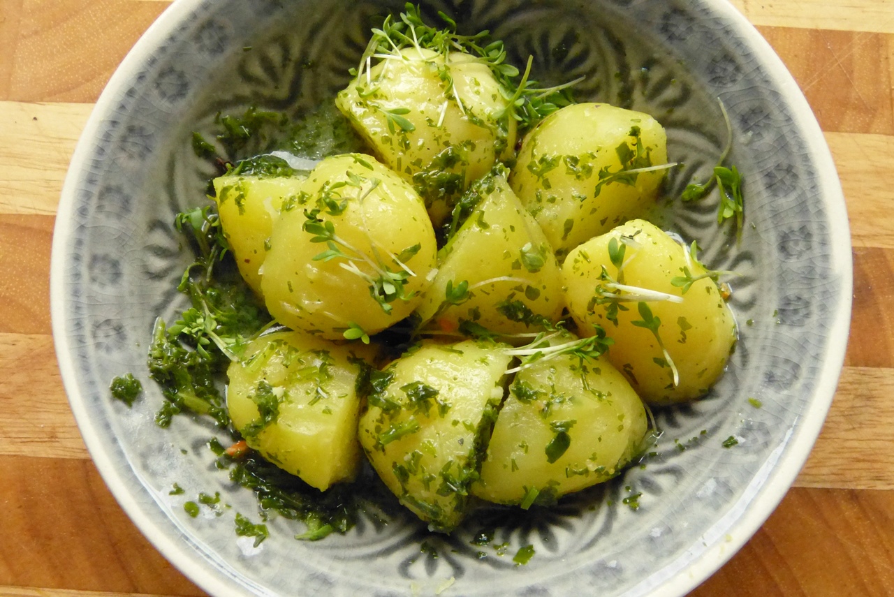pellkartoffelsalat-grüne-sauce