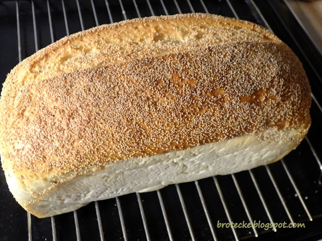 Franzbroed BBD#84 (1)