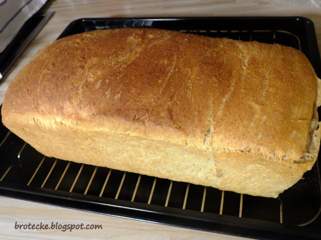 Sandwichbrot mit WV BBD#84 (1)