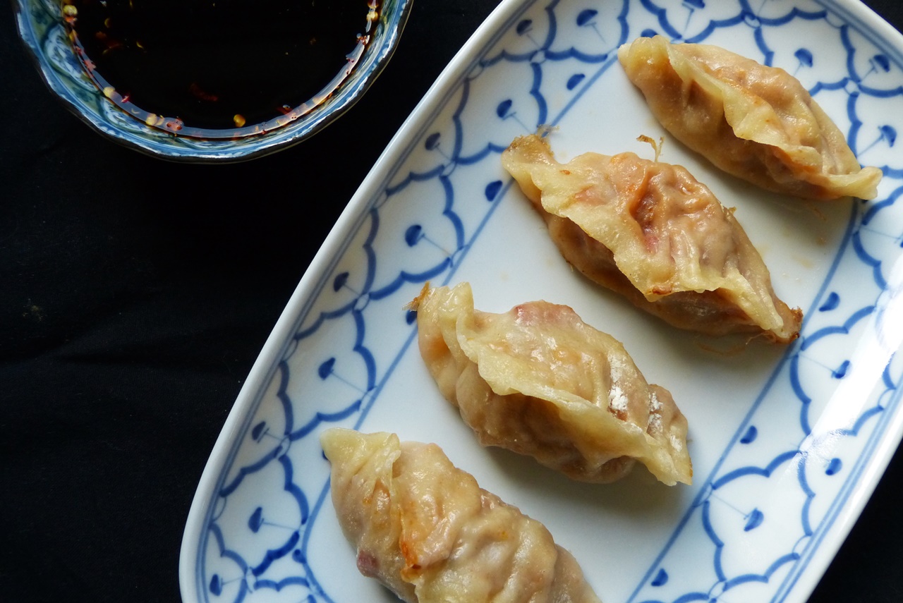 potstickers mit sauerkraut und chorizo