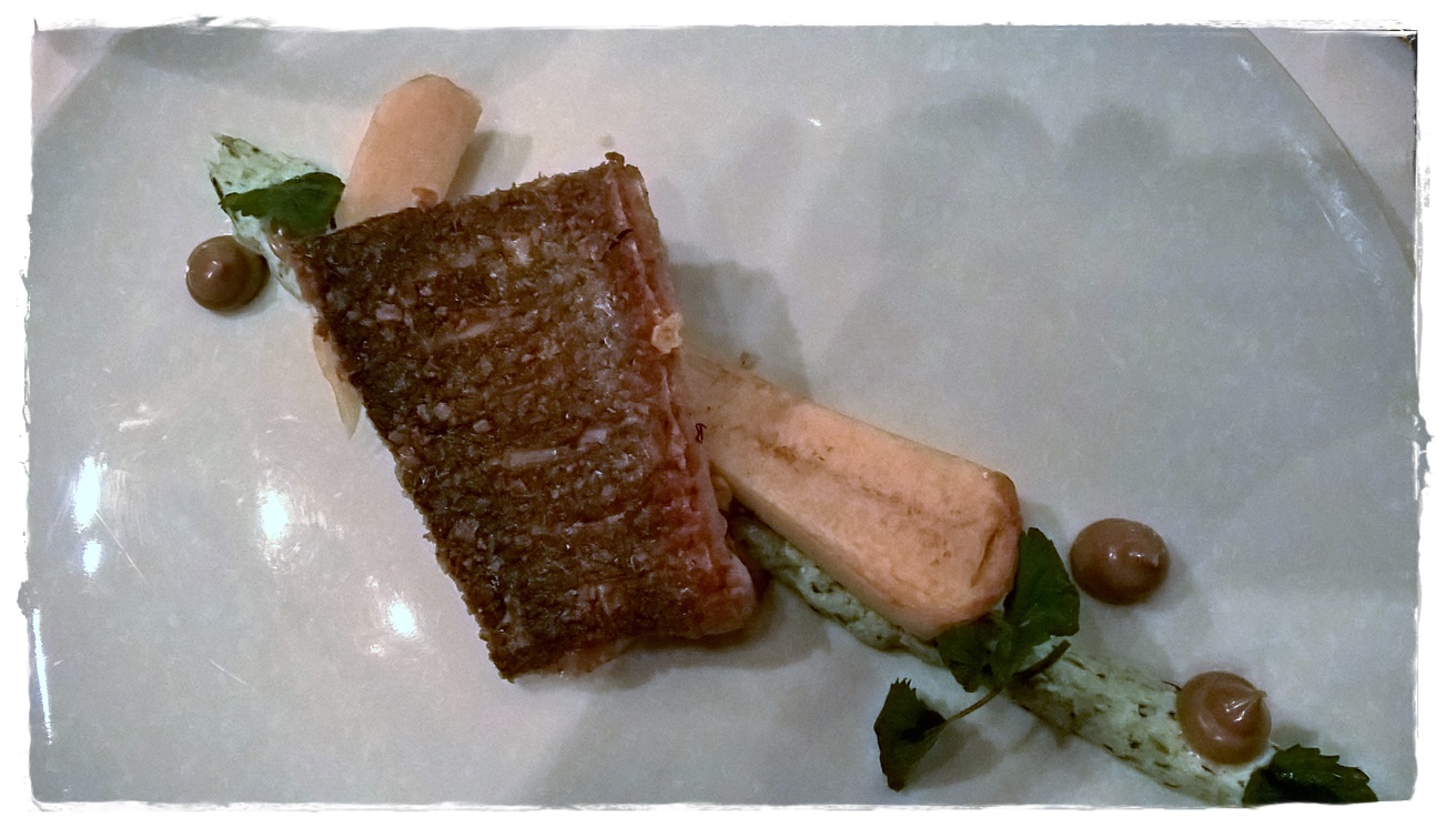 fisch