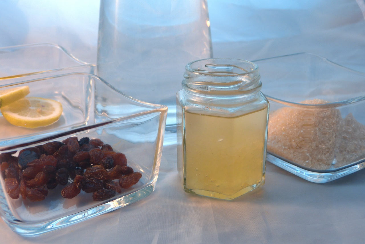 wasserkefir-zutaten